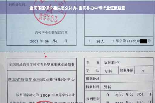 重庆市医保卡丢失怎么补办-重庆补办中专毕业证流程图