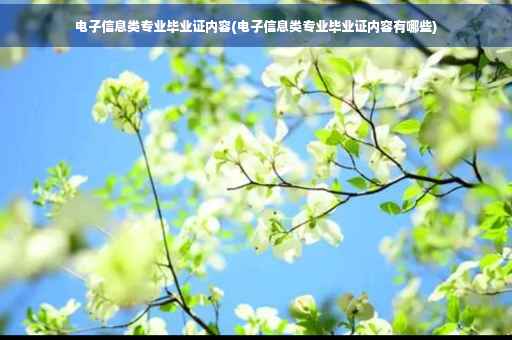 电子信息类专业毕业证内容(电子信息类专业毕业证内容有哪些)