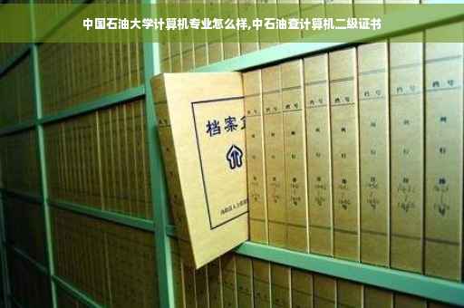 中国石油大学计算机专业怎么样,中石油查计算机二级证书
