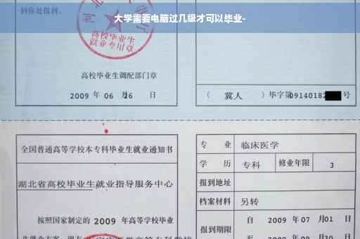 大学需要电脑过几级才可以毕业- 大学需要电脑过几级才可以毕业-