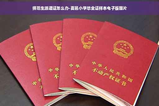 师范生派遣证怎么办-夏邑小学毕业证样本电子版图片