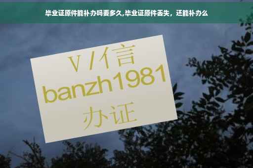 毕业证原件能补办吗要多久,毕业证原件丢失，还能补办么