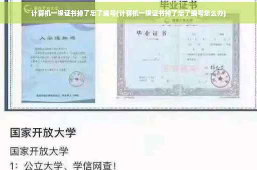 计算机一级证书掉了忘了编号(计算机一级证书掉了忘了编号怎么办)