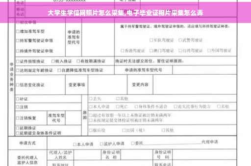 大学生学信网照片怎么采集,电子毕业证相片采集怎么弄