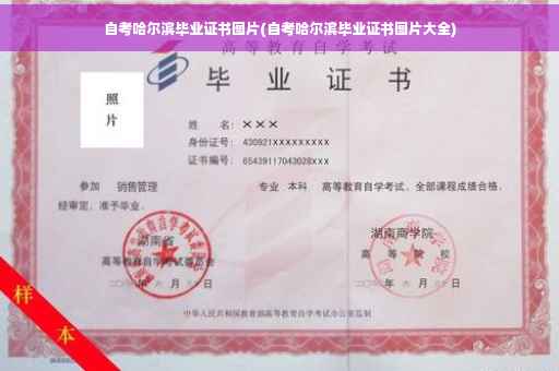 自考哈尔滨毕业证书图片(自考哈尔滨毕业证书图片大全)