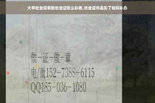 大学毕业没拿到毕业证怎么补救,毕业证书丢失了如何补办