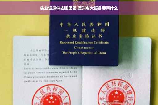 失业证原件去哪里领,宜兴电大报名要带什么
