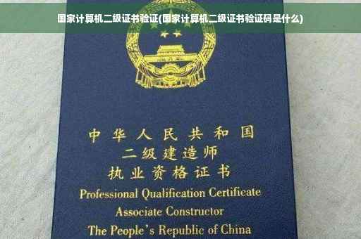 国家计算机二级证书验证(国家计算机二级证书验证码是什么)