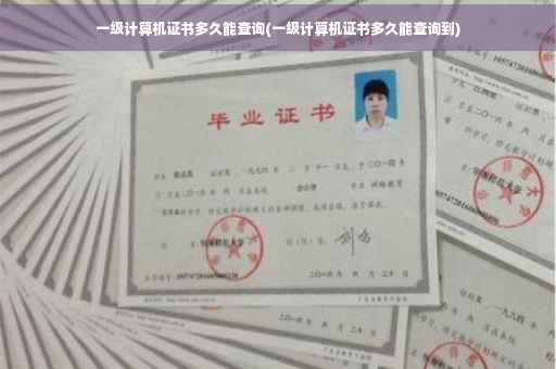 一级计算机证书多久能查询(一级计算机证书多久能查询到)