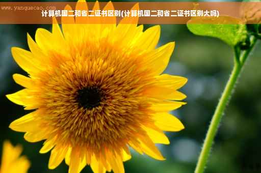 计算机国二和省二证书区别(计算机国二和省二证书区别大吗)