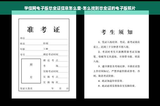学信网电子版毕业证信息怎么查-怎么找到毕业证的电子版照片
