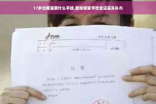 17岁出国需要什么手续,新加坡留学毕业证丢失补办