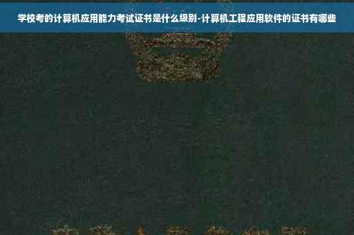 学校考的计算机应用能力考试证书是什么级别-计算机工程应用软件的证书有哪些