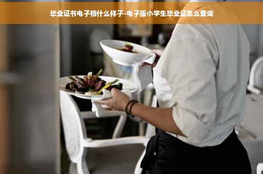 毕业证书电子档什么样子-电子版小学生毕业证怎么查询