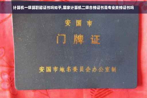 计算机一级算职称证书吗知乎,国家计算机二级合格证书是专业资格证书吗
