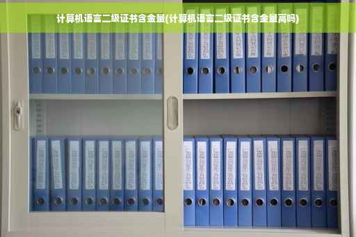计算机语言二级证书含金量(计算机语言二级证书含金量高吗)