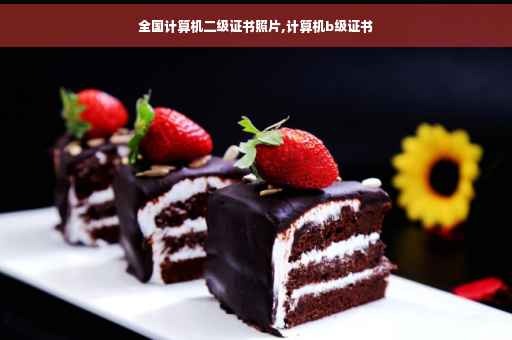 全国计算机二级证书照片,计算机b级证书