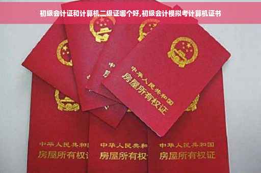 初级会计证和计算机二级证哪个好,初级会计模拟考计算机证书