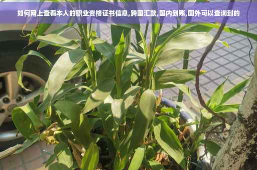 如何网上查看本人的职业资格证书信息,跨国汇款,国内到账,国外可以查询到的