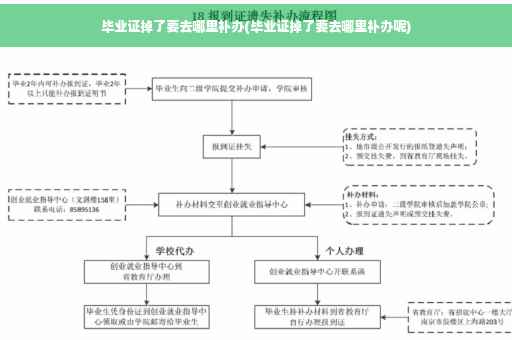 毕业证掉了要去哪里补办(毕业证掉了要去哪里补办呢)