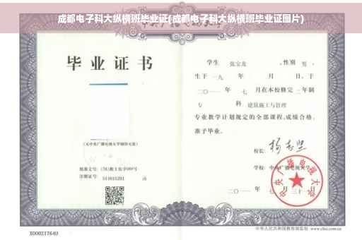 成都电子科大纵横班毕业证(成都电子科大纵横班毕业证图片)
