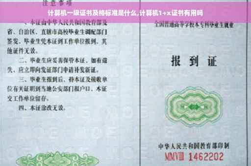 计算机一级证书及格标准是什么,计算机1+x证书有用吗 计算机一级证书及格标准是什么,计算机1+x证书有用吗