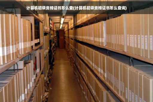计算机初级资格证书怎么查(计算机初级资格证书怎么查询)