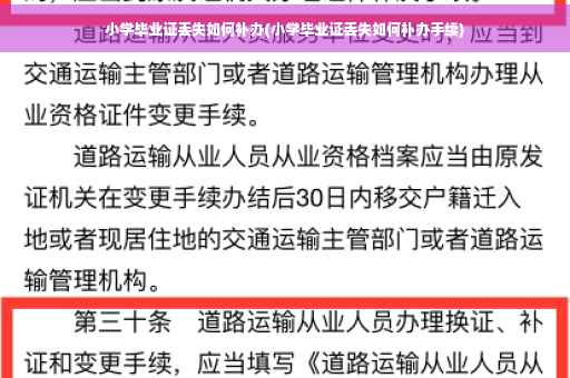 小学毕业证丢失如何补办(小学毕业证丢失如何补办手续)