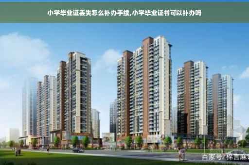 小学毕业证丢失怎么补办手续,小学毕业证书可以补办吗