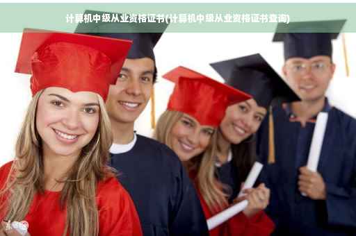 计算机中级从业资格证书(计算机中级从业资格证书查询)