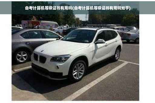自考计算机等级证书有用吗(自考计算机等级证书有用吗知乎)