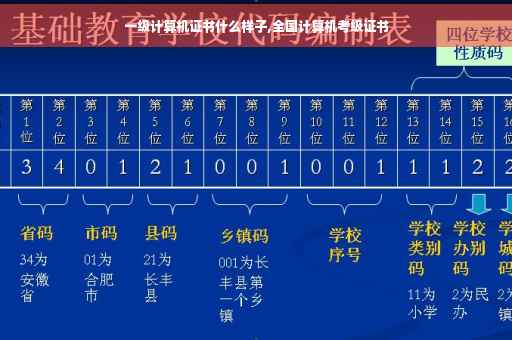 一级计算机证书什么样子,全国计算机考级证书