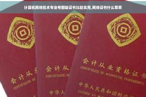 计算机网络技术专业考那些证书比较实用,网络证书什么意思