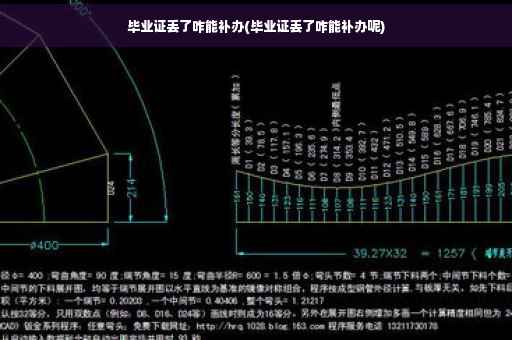 毕业证丢了咋能补办(毕业证丢了咋能补办呢)