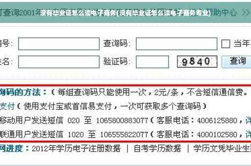 没有毕业证怎么读电子商务(没有毕业证怎么读电子商务专业)