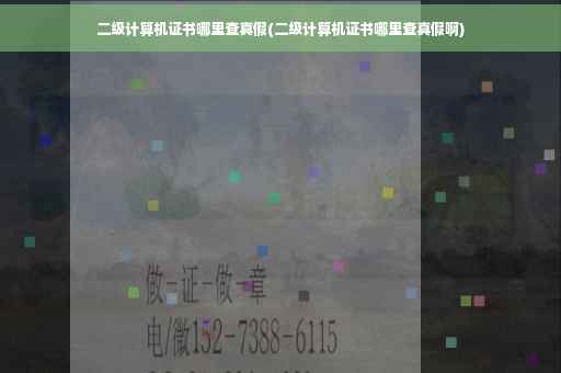 二级计算机证书哪里查真假(二级计算机证书哪里查真假啊)