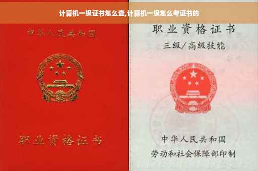 计算机一级证书怎么查,计算机一级怎么考证书的 计算机一级证书怎么查,计算机一级怎么考证书的