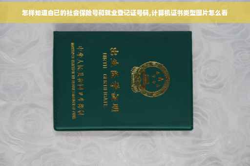 怎样知道自已的社会保险号和就业登记证号码,计算机证书类型图片怎么看