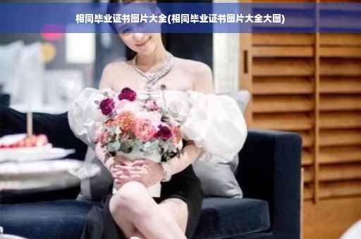 相同毕业证书图片大全(相同毕业证书图片大全大图)