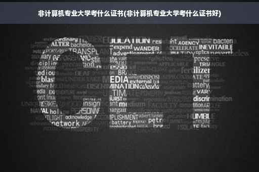 非计算机专业大学考什么证书(非计算机专业大学考什么证书好)