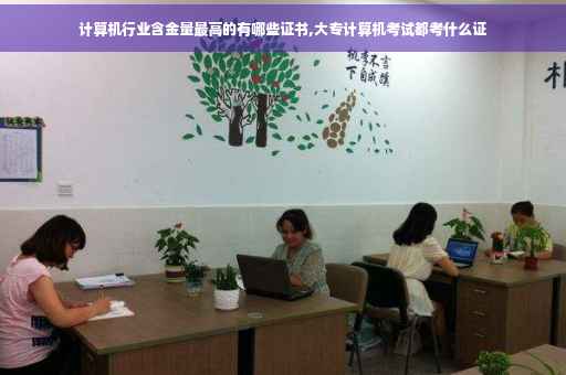 计算机行业含金量最高的有哪些证书,大专计算机考试都考什么证