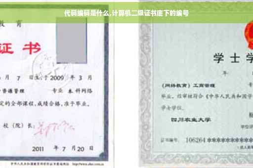 代码编码是什么,计算机二级证书底下的编号 代码编码是什么,计算机二级证书底下的编号