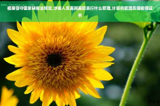 根据保守国家秘密法规定,涉密人员离岗离职实行什么管理,计算机管理员保密保证书