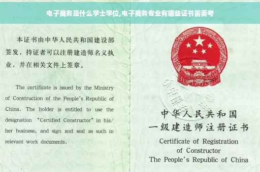 电子商务是什么学士学位,电子商务专业有哪些证书需要考