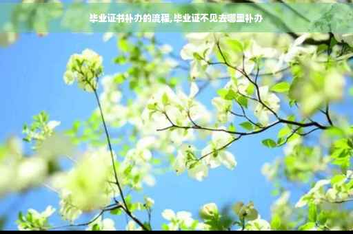 毕业证书补办的流程,毕业证不见去哪里补办