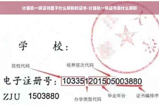 计算机一级证书属于什么级别的证书-计算机一级证书是什么级别