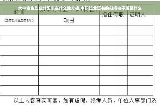 大中专生毕业分配表在什么地方找,中职毕业证书的扫描电子版是什么