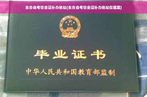 东台自考毕业证补办地址(东台自考毕业证补办地址在哪里)