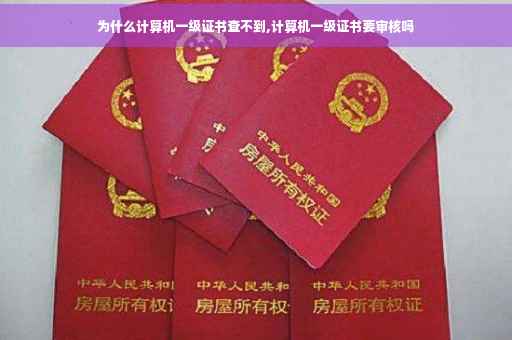 为什么计算机一级证书查不到,计算机一级证书要审核吗 为什么计算机一级证书查不到,计算机一级证书要审核吗