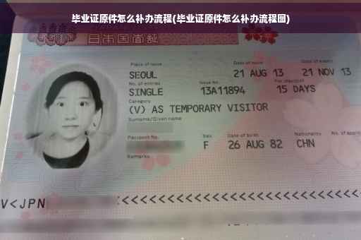毕业证原件怎么补办流程(毕业证原件怎么补办流程图)